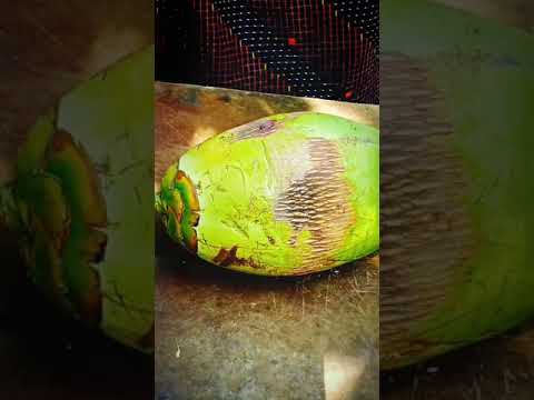 Fantastic Coconut Cutting😋#shorts#satisfying