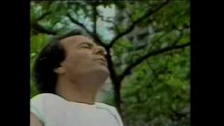 Julio Iglesias  - Coraçao apaixonado