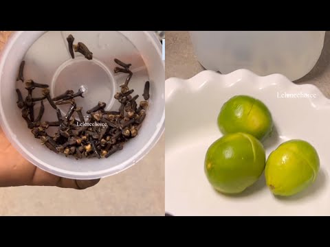 TREATMENT FOR VAGINAL DISEASE INFECTION