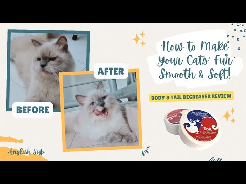 How to Make Your Cats' Fur Smooth & Soft! | Grooming My Cat Vlog | Body & Tail Degreaser Review