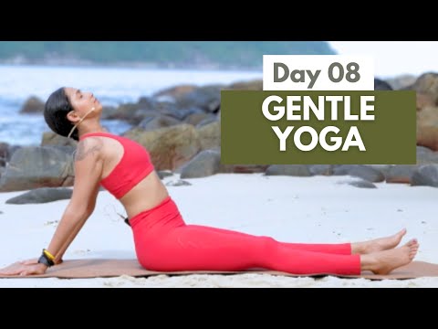 15 Min Yin Full Body Yoga Deep Reset
