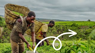 Voici comment gérer une exploitation agricole