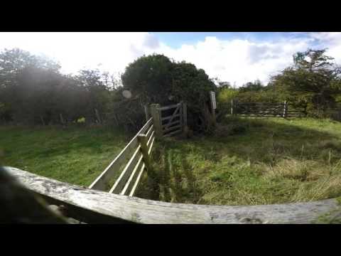 Walk around Letcombe Regis