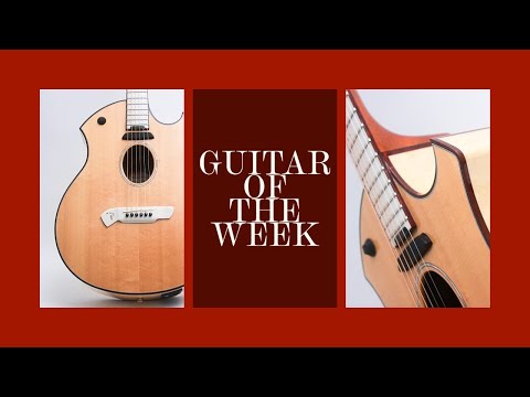 GUITAR OF THE WEEK! PARKER USA Electro Acoustic P10EN?! - Squealing Pig Guitars |WEEK 3|