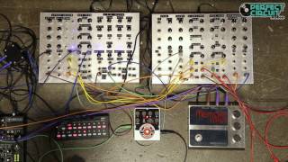 Video thumbnail for Electro Harmonix Super Space Drum and Vintage Memory Man with DIY Patchable Synthesizer by Perfect Circuit