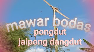 Download lagu pongdut Mawar bodas persi panggung live jaipong dangdut mp3 Download lagu pongdut Mawar bodas persi panggung live jaipong dangdut mp3