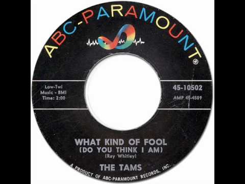 THE TAMS - What Kind Of Fool [ABC Paramount 10502] 1963