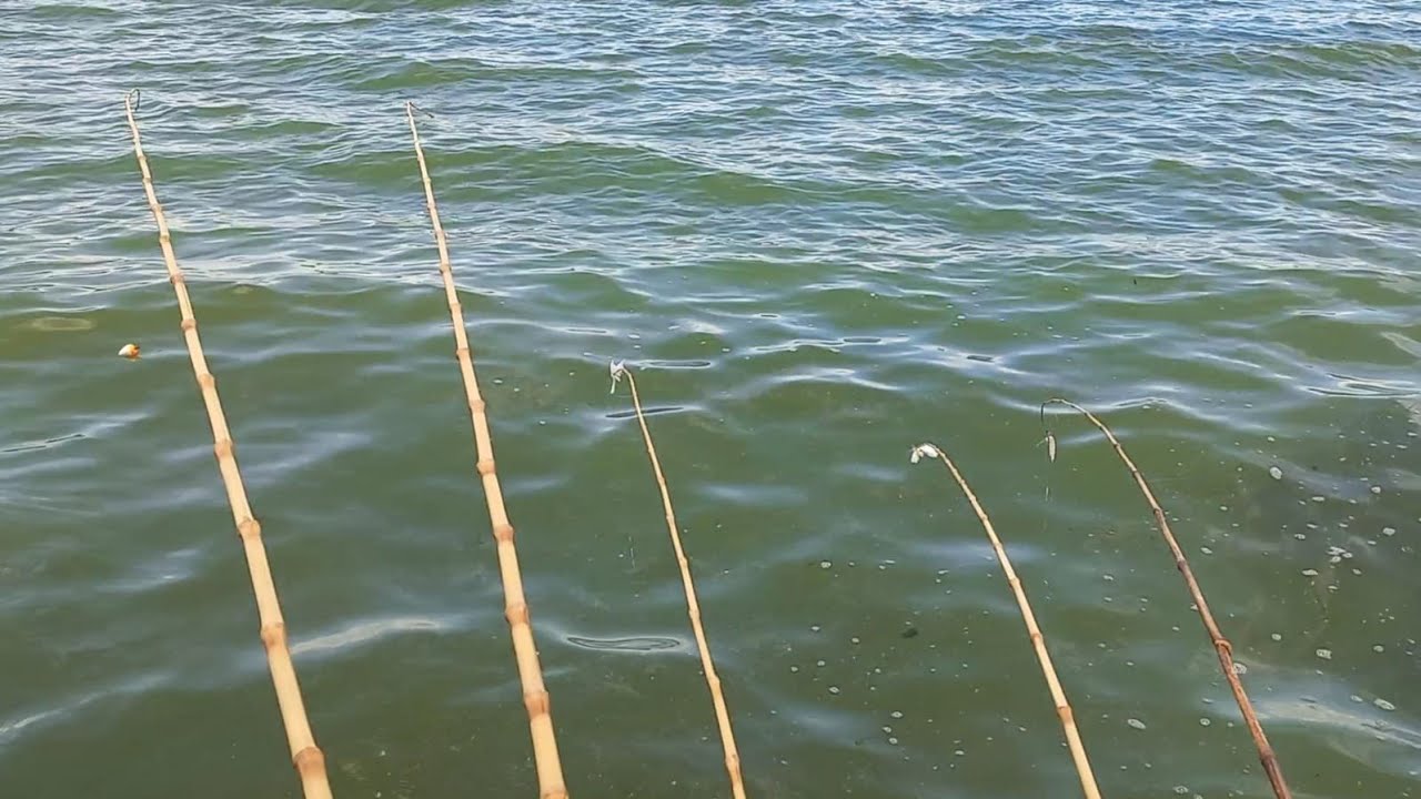 Primeira Pescaria no período da piracema e já acontece isso,essa isca é infalível Rio marinheiro