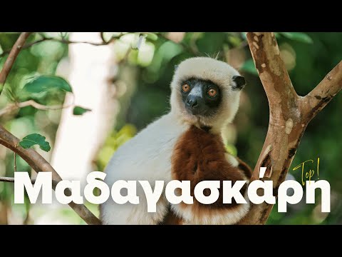 Πανόραμα Μαδαγασκάρης: Εθνικό Πάρκο Παγκαλάνες | Cosmorama Travel