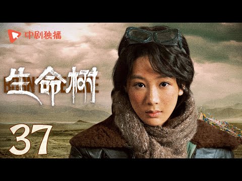 生命树 37 | Born to be alive 37（杨紫、胡歌、李光洁、张哲华、杨烁、梅婷 领衔主演）
