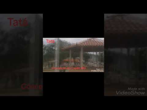 Tatá:Conceição do Capim Minas Gerais 