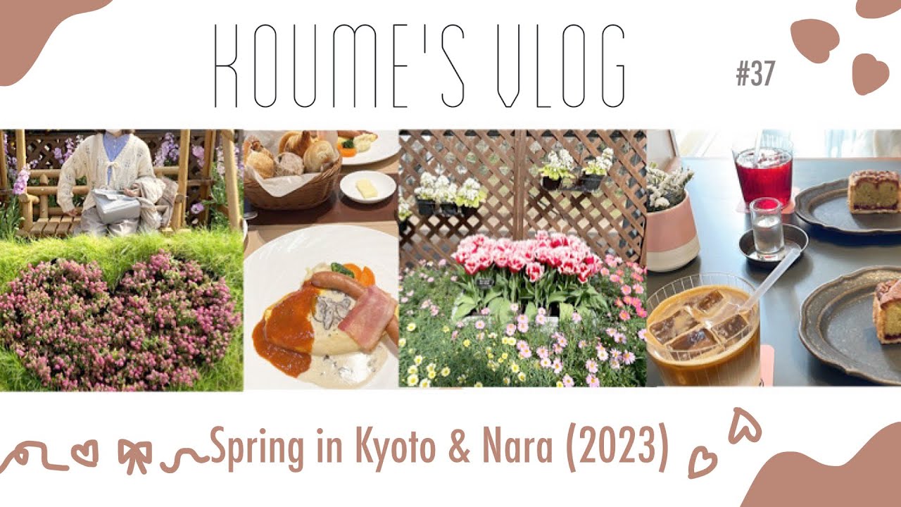 【春のお出かけVLOG (2023) 】京都と奈良の春🌸
