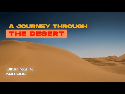 ☀️A JOURNEY THROUGH THE DESERT 🪨 Deep Healing Music 🕊️Meditation, Zen, Yoga & Stress Relief✨