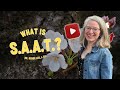 What Is SAAT