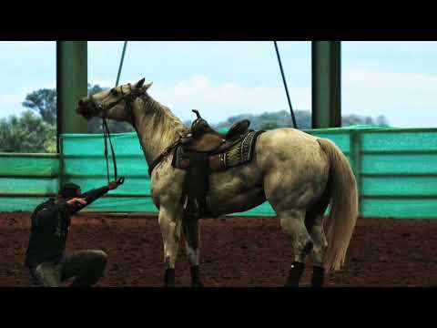 Trailler do Recorde mundial 16,313! Prime Fishers MCM e Sidnei Jr