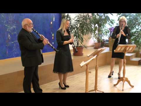 Musikschule Wertingen: "Sagt holde Frauen" - W. A. Mozart