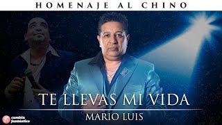 Te Llevas Mi Vida Lyrics English Translation