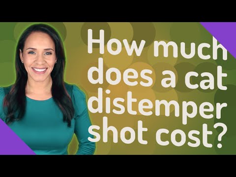 How much does a cat distemper shot cost?