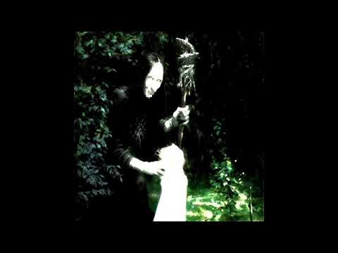 xoxoswitch - Alwayz In Last Place (prod togepi x northeast lights) I