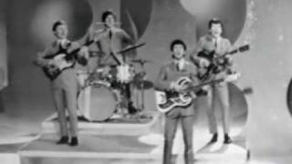 The Searchers - Love Potion Number 9