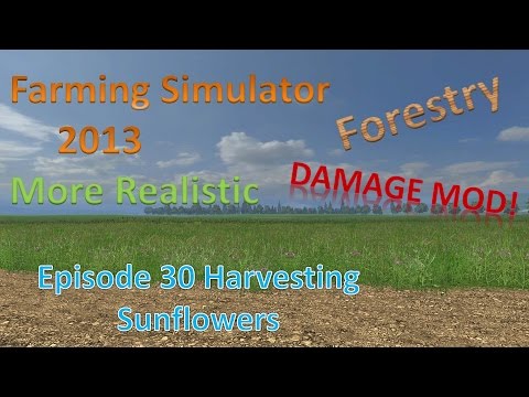 Farming Sim 2013 Forestry and MR E30 - Harvesting Sunflowers