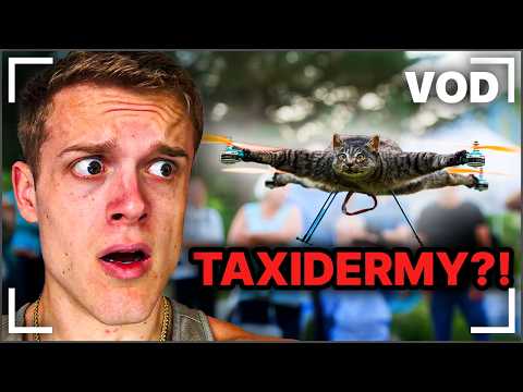 Reacts Day #406 | Joe Bartolozzi