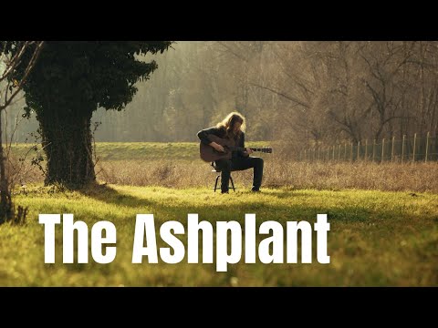 The Ashplant played by Fabian Zechmeister
