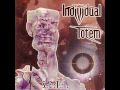 Individual Totem - Implicate Order