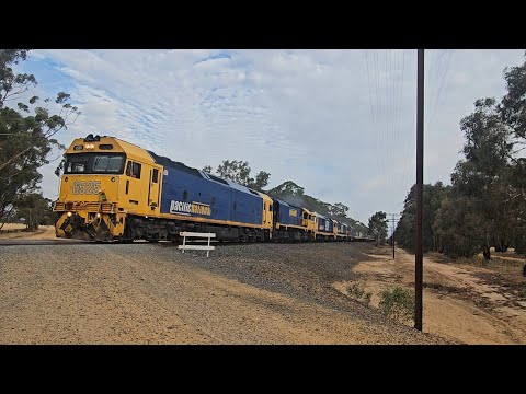 7936V/7731V PN down loaded grainy (5 locos, 40H), Carwarp to Murtoa, 1915, 29/1/26, Glenorchy VIC