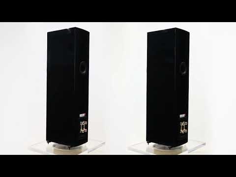 Dali Rubicon 5 - Black Gloss