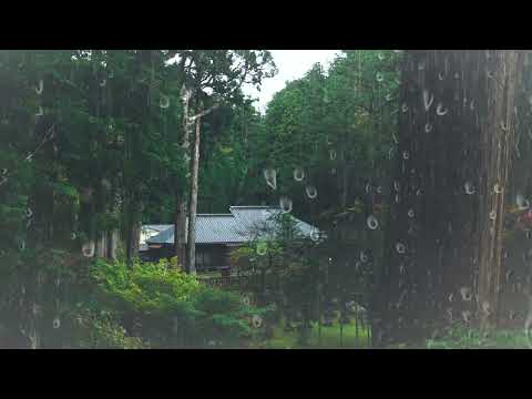 Duerma Instantáneamente en 3 Minutos con Sonido de Lluvia en Techo en la Granja en Bosque Brumoso