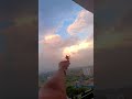 Travel Home Peacefullsong Morningmotivation Morningmeditation Music Nature Sukoon Bollywood