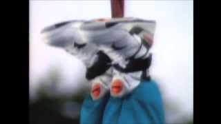 Reebok Pumps Commercial Collection Late 80's Early 90's