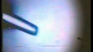 Bioethics Of Human Genetic Engineering - Documentary Video