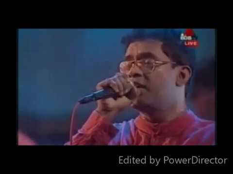 Jagath Wickramasinghe with Old Sunflowers