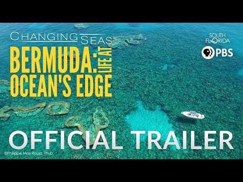 Bermuda: Life at Ocean's Edge | Changing Seas | Preview