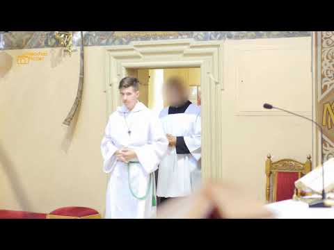 Wejście smoka w kościele. Dzwonki nie dały rady. (Enter of the dragon in the church)