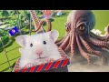 🐹Hamster in Roller Coaster Maelstrom with Octopus