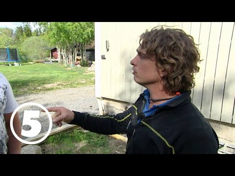 Familjen får en utskällning - Arga snickaren