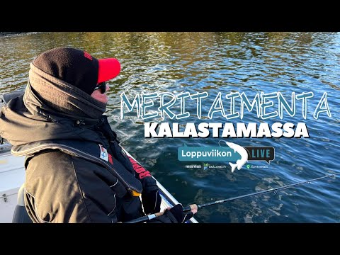 Meritaimenen heittokalastus ⎮ Loppuviikon LivE