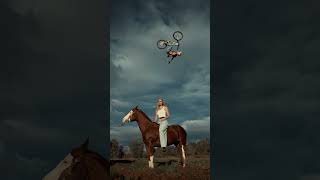 🐴🚲