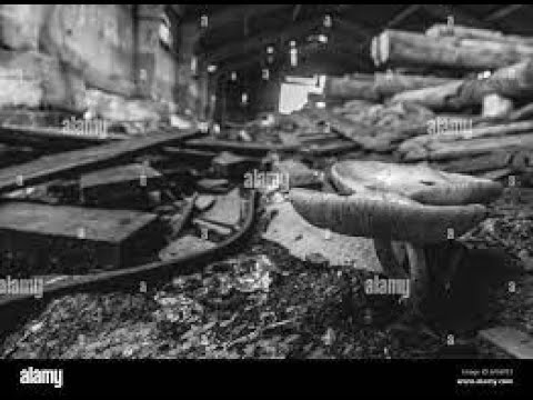 CHRISTIAN WUNSCH. DANZOO (MADRID-SPAIN). 25/04/2003. ONLYTEKNO COLLECTION 593