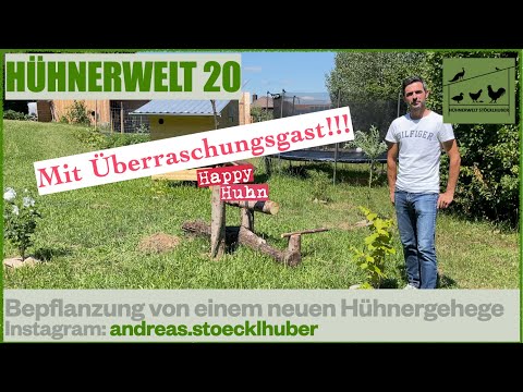 Hühnerwelt 20 Pflanzen Tipps für den Hühnergarten und das Hühnergehege mit Überraschungsgast 07/2021