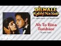 Ab To Bina Tumhare Best Audio Song Dilwale Kabhi Na Hare Kumar Sanu Nadeem Shravan