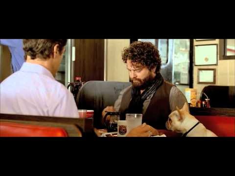 Due Date Bloopers