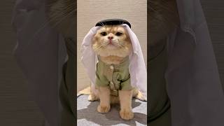 Download lagu 😼: which widow wouldn't be stunned seeing my 5800 carat diamond, wow #cutecat #cat mp3 Download lagu 😼: which widow wouldn't be stunned seeing my 5800 carat diamond, wow #cutecat #cat mp3