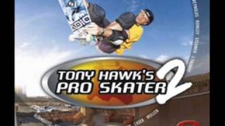 tony hawk&#39;s pro skater 3 soundtrack -17 rollins band - what&#39;s the matter man.