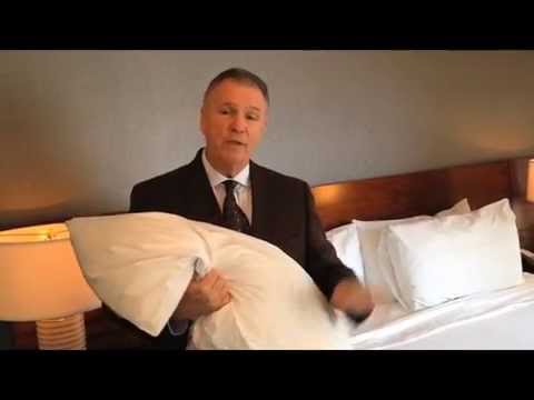 YouTube video about: Where to buy caldeira pillows?