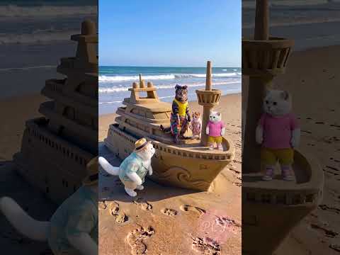 Adorable Mini Cats Build a Sand Ship on Their Sandy Adventure