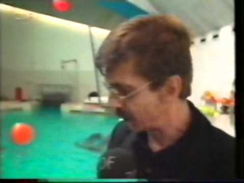 Tierrechte-Tierschutz  ZDF - Heute Magazin - Delfinarien